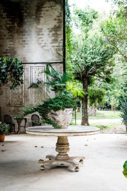 odasında masa dekorasyonu pot bitki