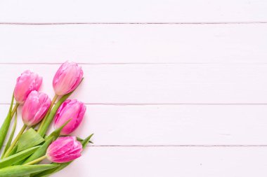 ahşap arka plan üzerinde Pembe Lale çiçek