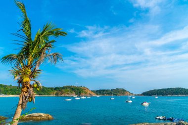 Güzel tropikal plaj ve deniz parad Hindistan cevizi hurma ağacı ile