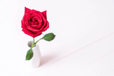 Tahtadaki kırmızı gül 