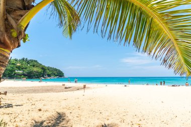 Güzel tropikal plaj ve deniz parad Hindistan cevizi hurma ağacı ile