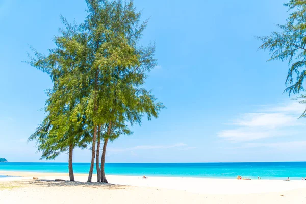 Güzel tropikal plaj ve deniz parad Hindistan cevizi hurma ağacı ile — Stok fotoğraf