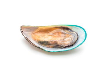 beyaz zemin üzerine taze midye