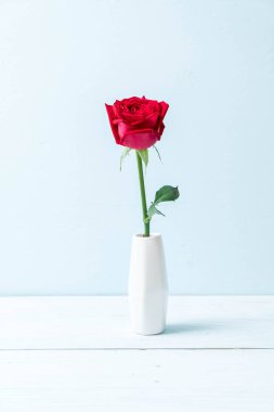 ahşap arka plan üzerinde kırmızı gül