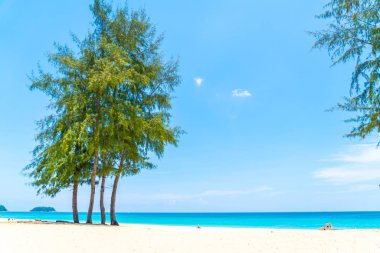 Güzel tropikal plaj ve Hindistan cevizi hurma ağacı Cennet Adası - tatil tatil kavramı ile