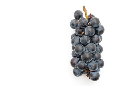 beyaz arka planda taze siyah üzüm