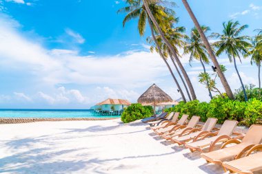 tropikal Maldivler Adası plaj ve deniz ile plaj sandalyesi