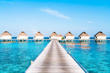 Plaj ile güzel tropikal Maldivler tatil oteli ve ada