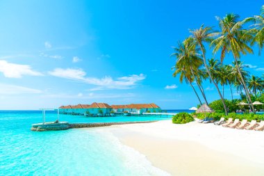 plaj ve deniz ile tropikal Maldivler tatil otel ve ada