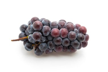 beyaz arka planda taze siyah üzüm