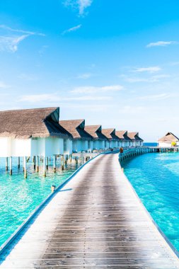 Plaj ile güzel tropikal Maldivler tatil oteli ve ada