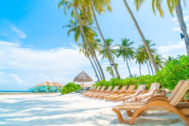 tropikal Maldivler Adası plaj ve deniz ile plaj sandalyesi