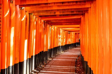 Japonya, Kyoto 'daki Fushimi Inari türbesindeki kırmızı Torii kapıları