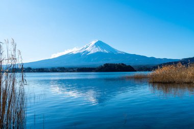 Kawaguchiko Gölü ve mavi gökyüzü ile Fuji Dağı