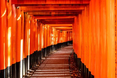 Japonya, Kyoto 'daki Fushimi Inari türbesindeki kırmızı Torii kapıları