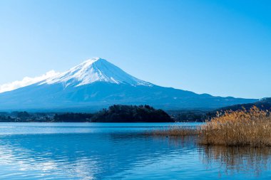 Kawaguchiko Gölü ve mavi gökyüzü ile Fuji Dağı
