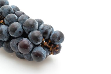 beyaz arka planda taze siyah üzüm