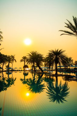 Şemsiye sandalyeli güzel palmiye ağacı gündoğumunda lüks otel tatil beldesinde - tatil ve tatil konsepti