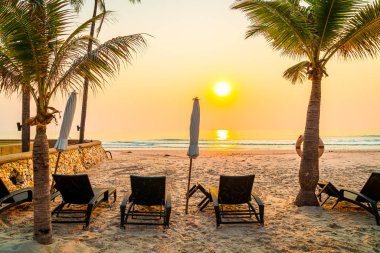 Güneş doğarken palmiye ağacı ve deniz plajı olan şemsiye koltuğu plajı - tatil ve tatil konsepti