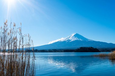 Kawaguchiko Gölü ve Japonya 'da mavi gökyüzü olan güzel Fuji Dağı