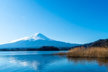 Kawaguchiko Gölü ve Japonya 'da mavi gökyüzü olan güzel Fuji Dağı