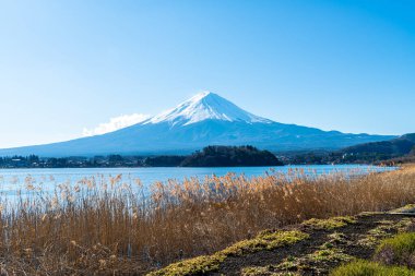 Kawaguchiko Gölü ve Japonya 'da mavi gökyüzü olan güzel Fuji Dağı