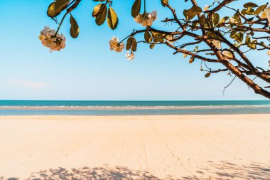 beautiful and empty beach sea for background