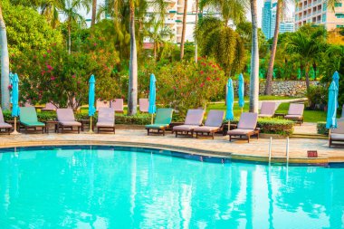 Hindistan cevizi palmiyeli havuz etrafında sandalye ve şemsiye - tatiller ve tatil kavramı