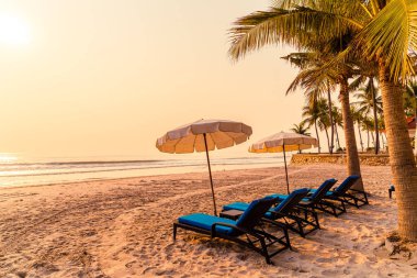 Güneş doğarken palmiye ağacı ve deniz plajı olan şemsiye koltuğu plajı - tatil ve tatil konsepti