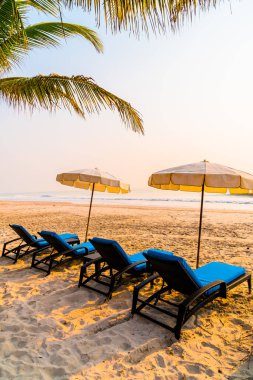 Güneş doğarken palmiye ağacı ve deniz plajı olan şemsiye koltuğu plajı - tatil ve tatil konsepti