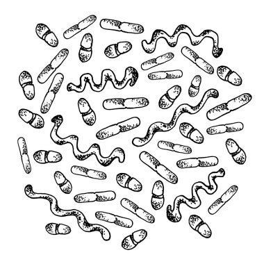 Vektör siyah kroki bakteri üzerinde beyaz backgtound izole. Tıbbi tedavide mikrop. Mikrop hastalık öğesi. El bakteri tıp kavramı için boyalı.