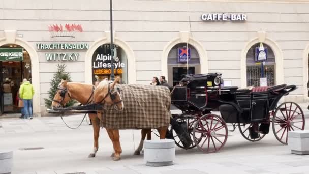 Tradycyjne koni i przewozu w Wiedniu, austria — Wideo stockowe
