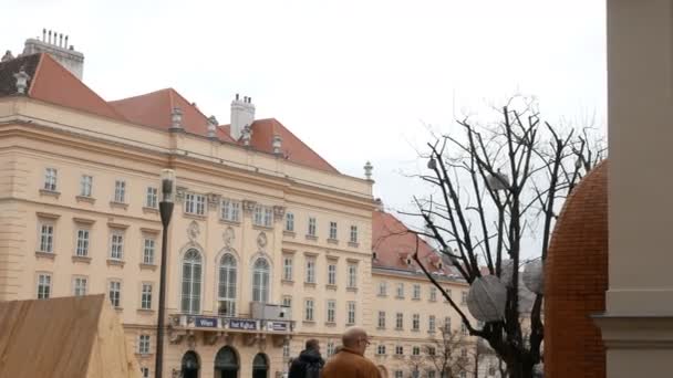 Tracking shot palace vienna — Stock Video