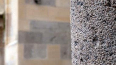 Closeup Stephen Kilisesi, Viyana, altın bir katedral kule çapraz bulutlu günde
