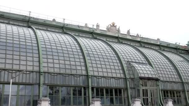 Palace of butterflies, Vienna — Stock Video