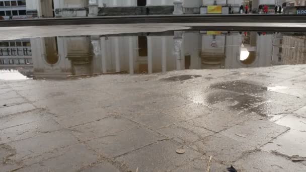 Eglise Karlskirche, style baroque vu dans la réflexion dans une flaque d'eau, près de Karlsplatz. Vienne, Autriche — Video