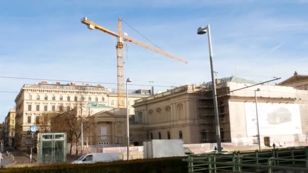 Kraniche vor einem Palast in Wien, Österreich — Stockvideo