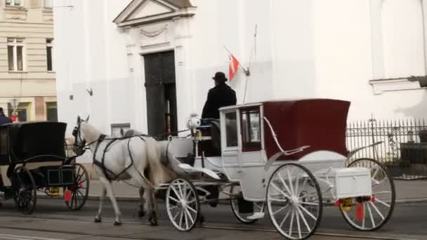 Carruajes tirados por caballos que transportan turistas, Viena Austria — Vídeos de Stock