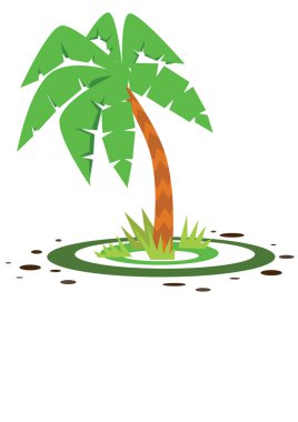 küçük yeşil palmiye