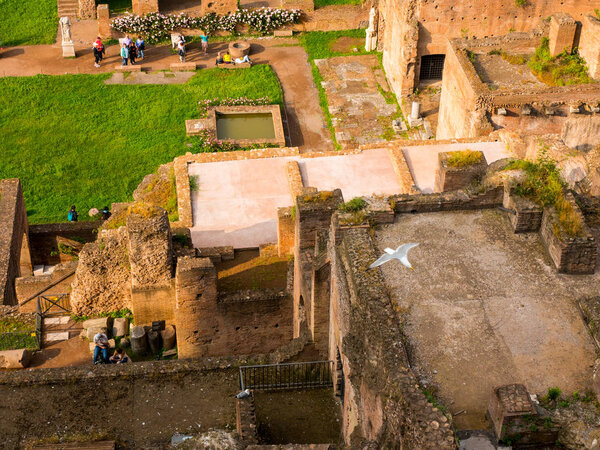 вид на римские форумы с Палатинского холма, древний Рим, Италия
