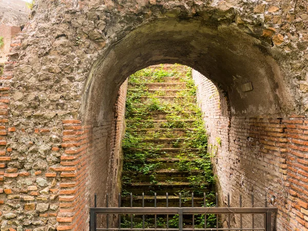 arch-shaped entrance in the ruins in the center of Rome