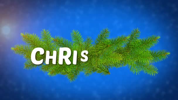 Merry christmas animated logo, ideal footage for the Christmas period — Stock Video