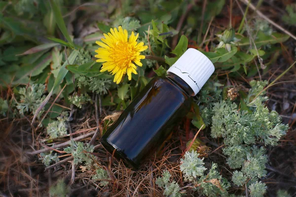 Plant extract of herbs in a dark bottle in flowers