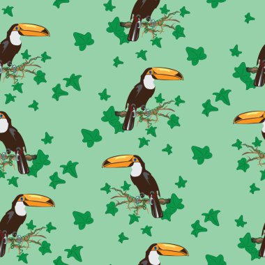 Toucan kuş. Yeşil arka plan. Seamless modeli.