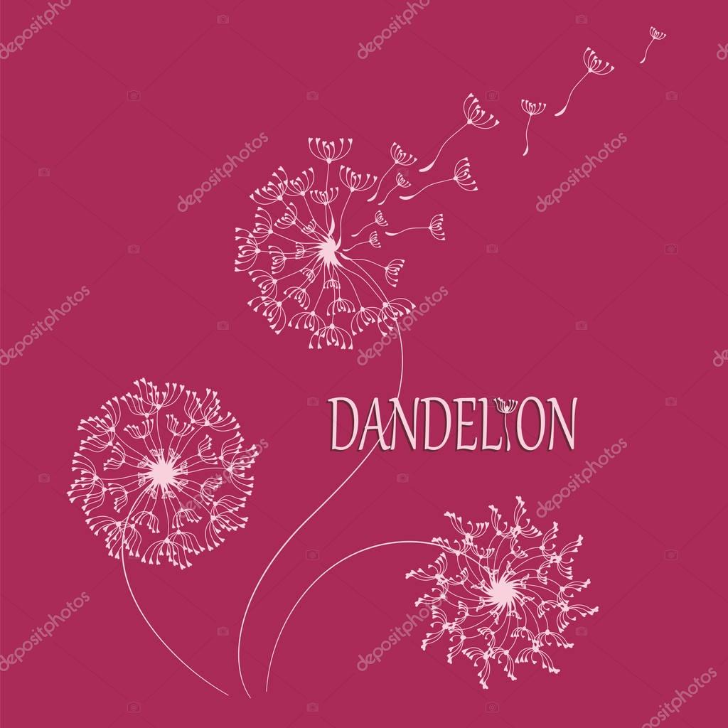 DANDELION. Flying in the wind, the parachutes. Logo, emblem. The word and the silhouette of a dandelion on a red background. Flying parachutes of a dandelion Dark border words and bright colors.