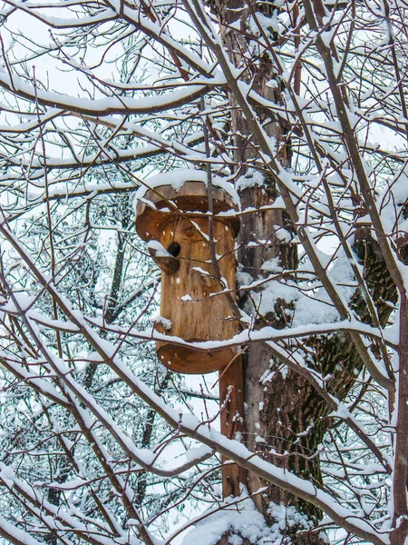 Hóval Borított Birdhouse Egy Kifejlett Egy Ház Madarak Közeli Természetes — Stock Fotó