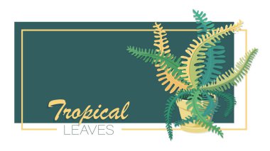 Fern. Tropik yapraklar. Beyaz arkaplanda yalıtılmış eğreltiotu çiçeği taşıyıcısı. 