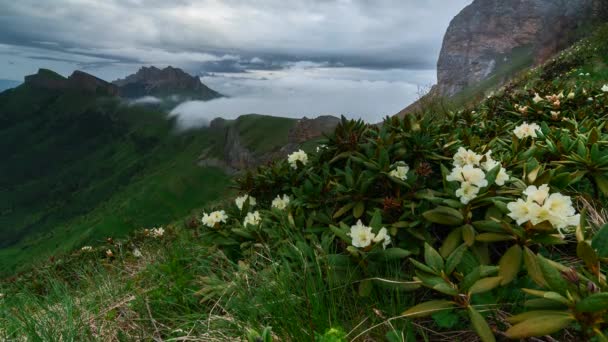 Time Lapse. Creeping clouds in Caucasus mountains. "Big Thach" Natural Park. Republic of Adygea - Krasnodar, Russia. — Αρχείο Βίντεο