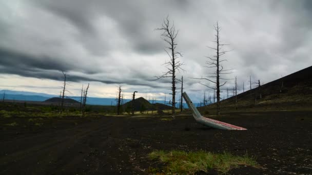 Time Lapse. Bosque muerto - el área, cubierta con una capa de ceniza volcánica repleta. "Helicóptero" Parking turístico. Coloque la erupción del volcán Tolbachik. Kamchatka, Rusia . — Vídeo de stock