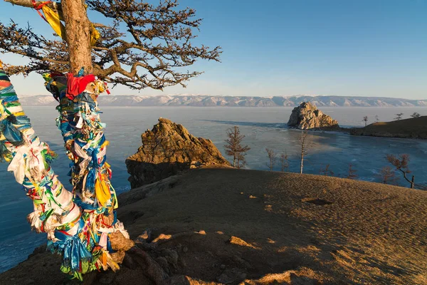 Kutsal ağacı ve gündoğumu şaman Rock'ta. Olkhon Adası, Baykal, Rusya Federasyonu — Stok fotoğraf